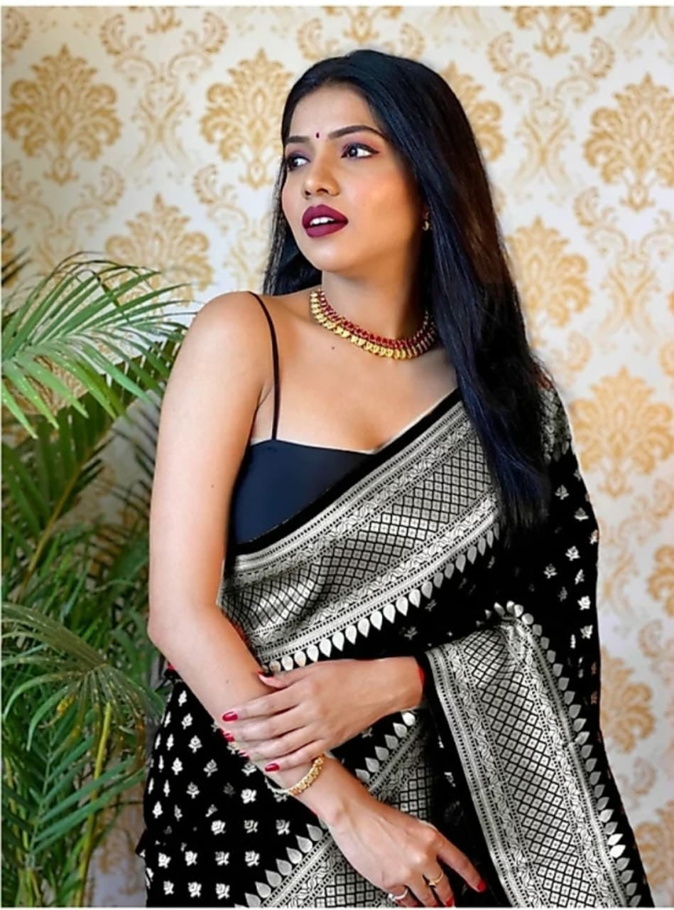 Elegant Party & Festive Wear