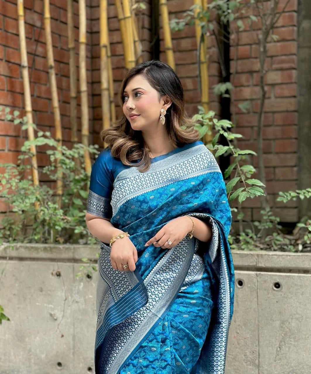 Blue Glow Ethnic Saree