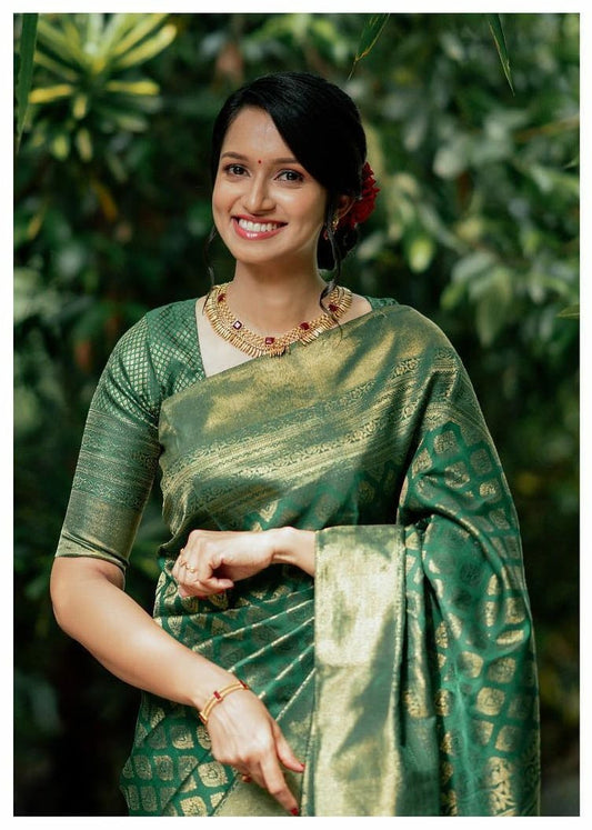 Timeless Elegance Saree Edit
