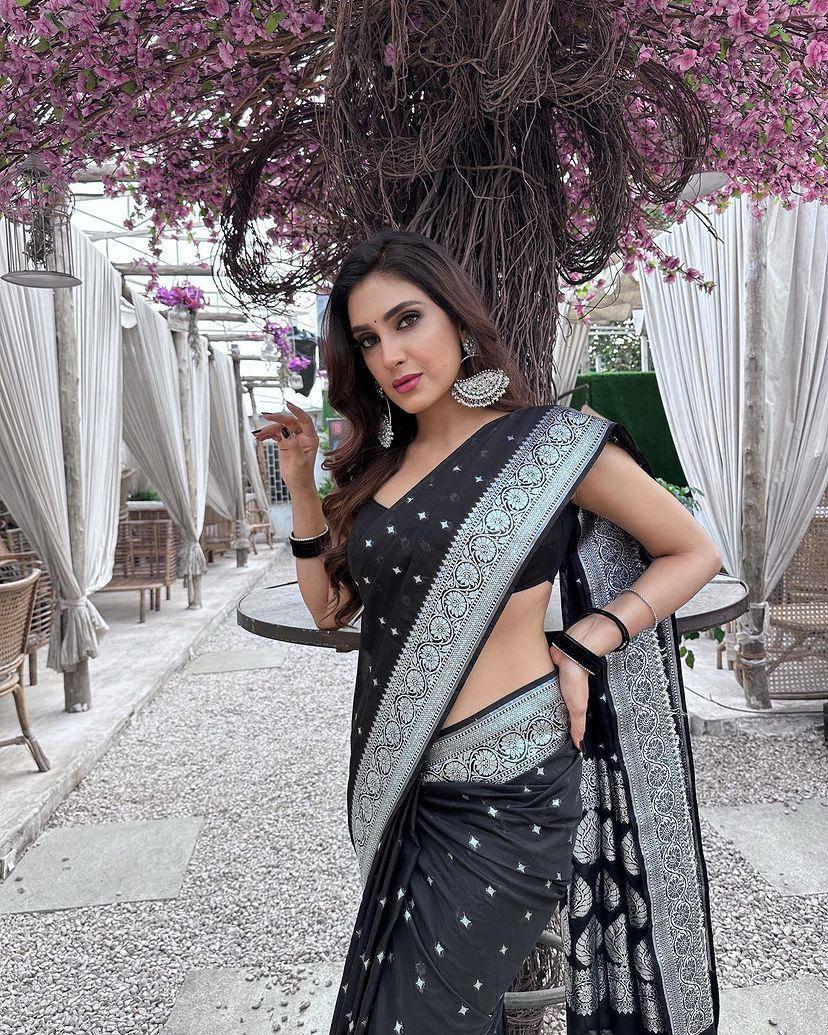 Black Silk Saree with Silver Zari Border