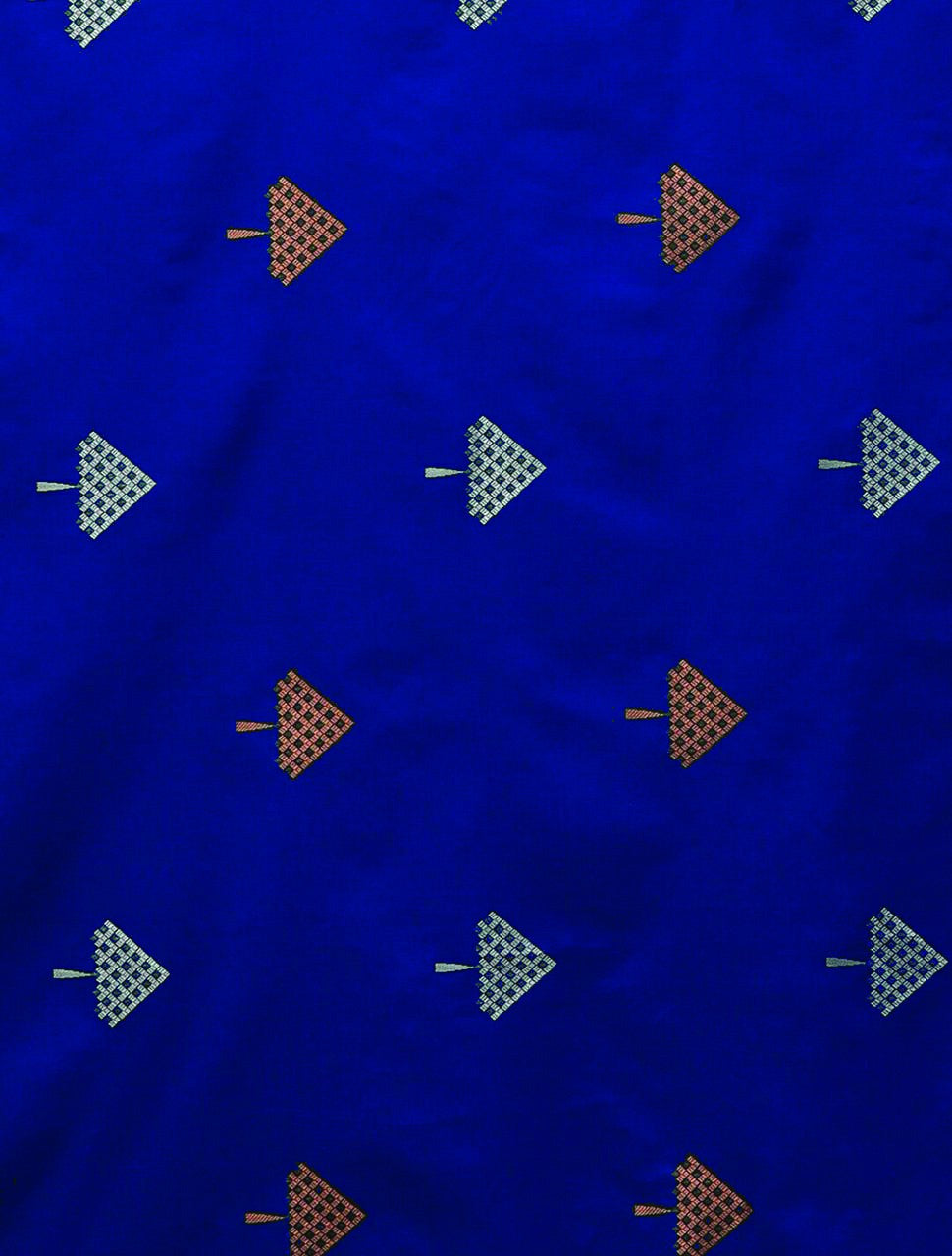 Blue Brilliance: A Classic Saree Statement