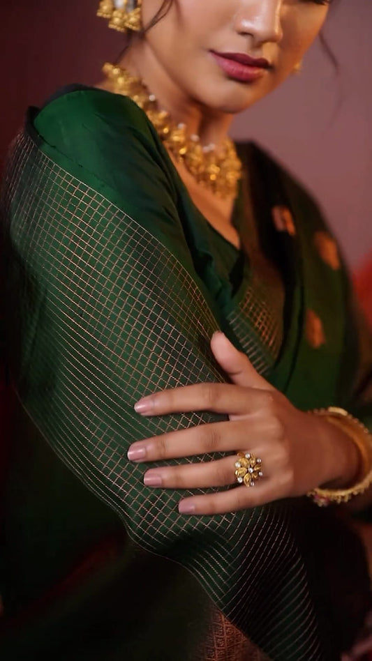Olive Green Designer Saree
