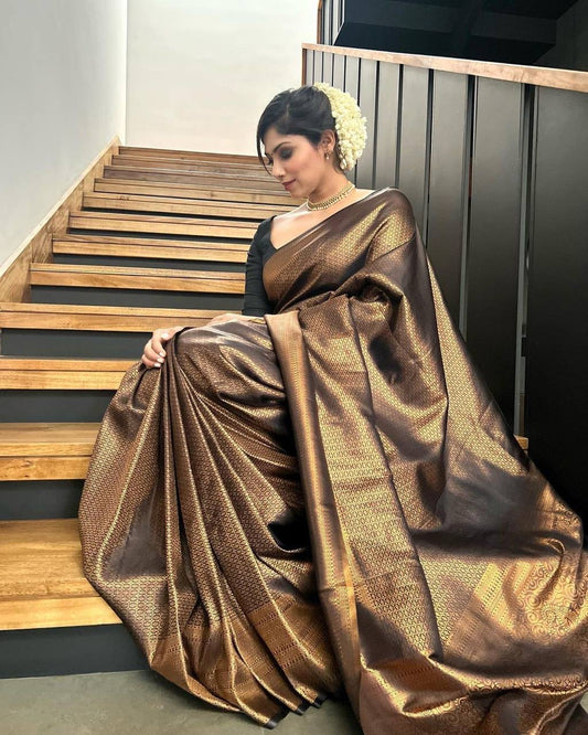 Royal Copper Brown Saree Look