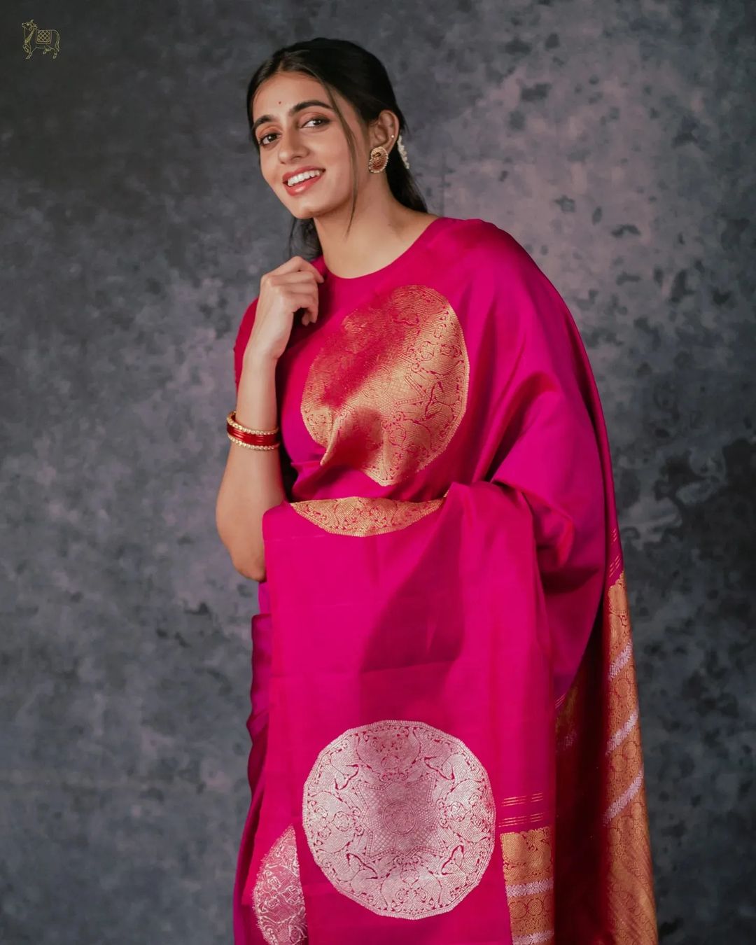 Rani Pink Banarasi Silk Saree with Gold Circular Motifs