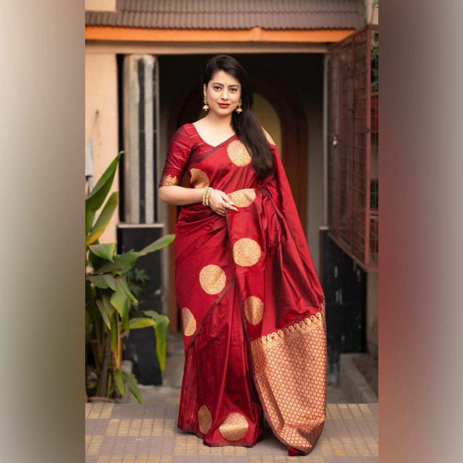 Gold Zari Polka Wedding & Festive Wear Saree