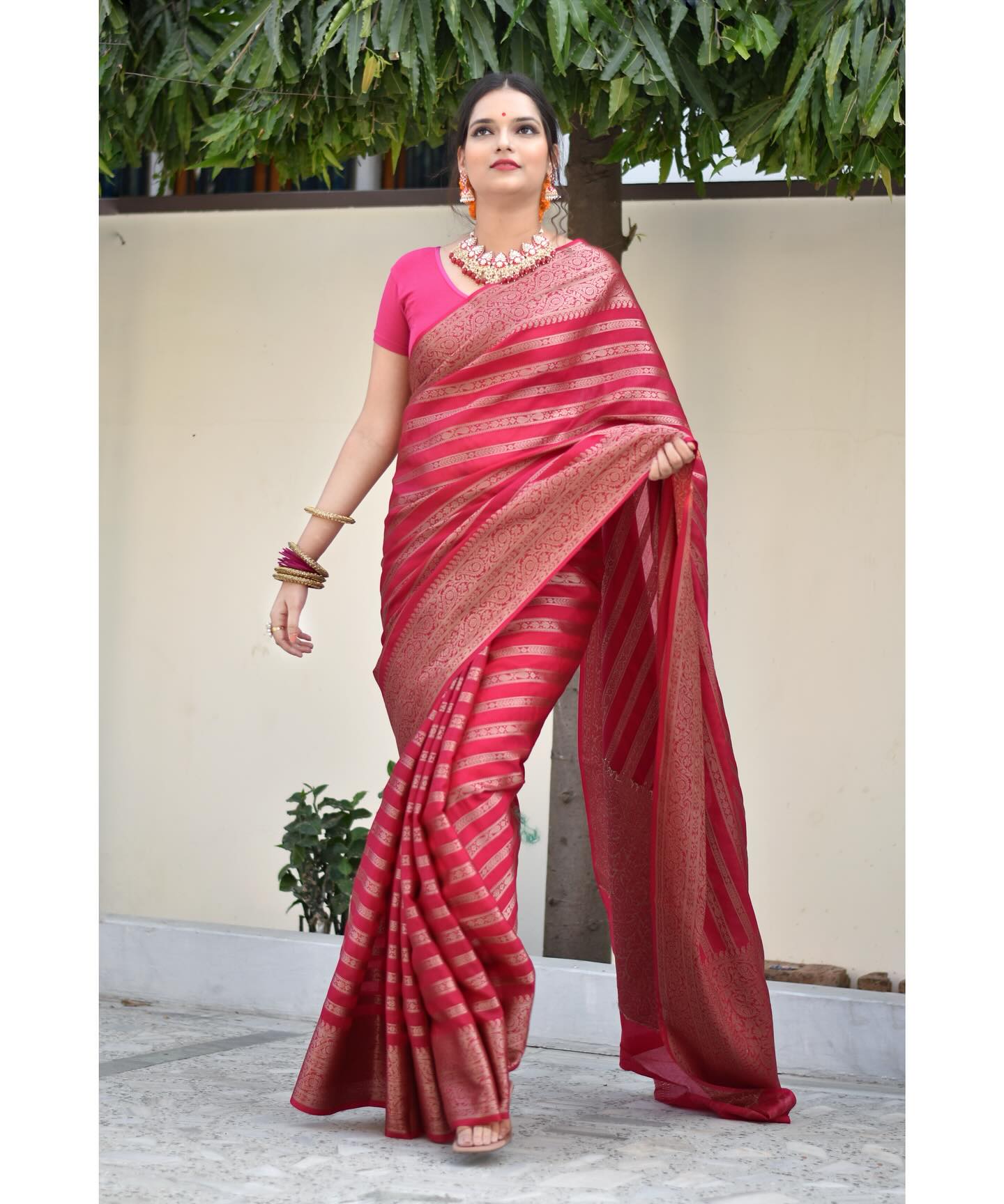 Elegant Wedding & Festive Saree