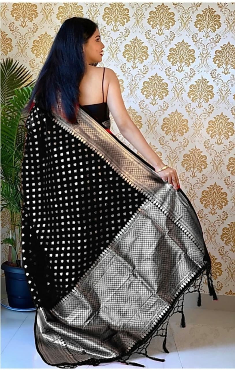 Elegant Party & Festive Wear