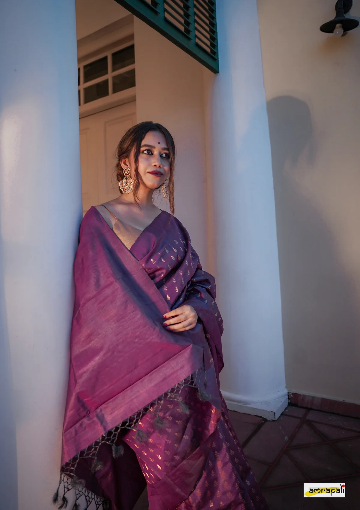 Elegance in EveningWine Saree