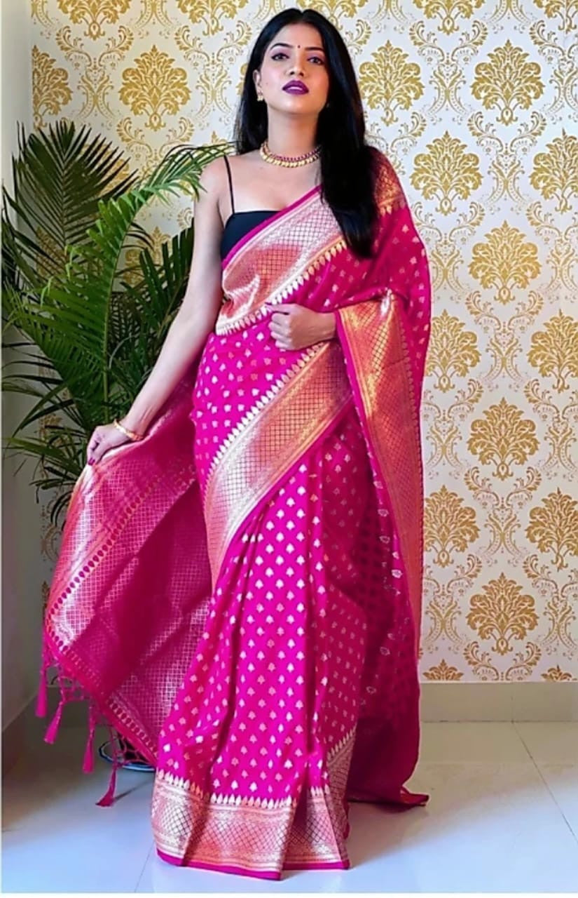 Elegant Party & Festive Wear