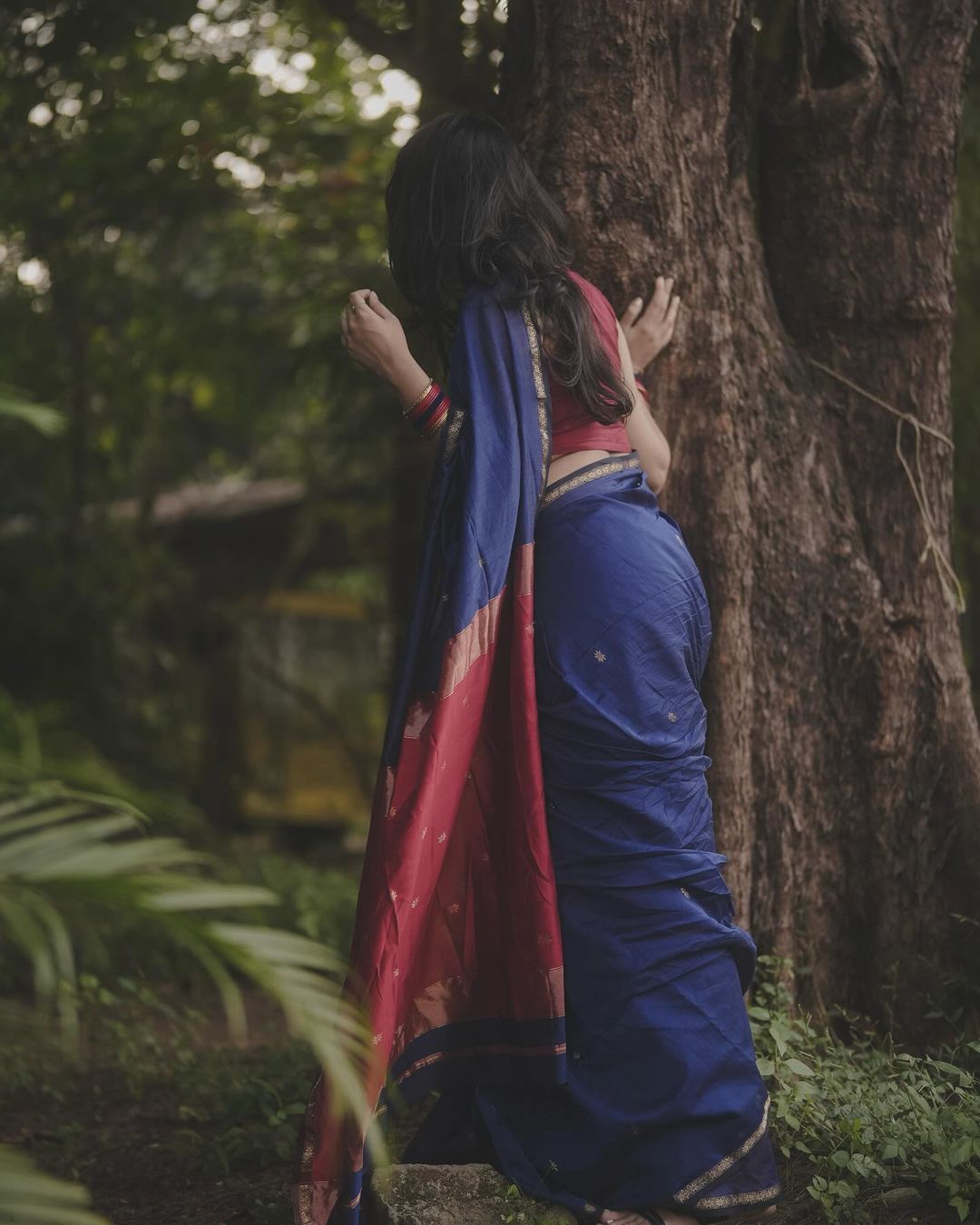 Royal Blue Saree with Red Pallu & Golden Border