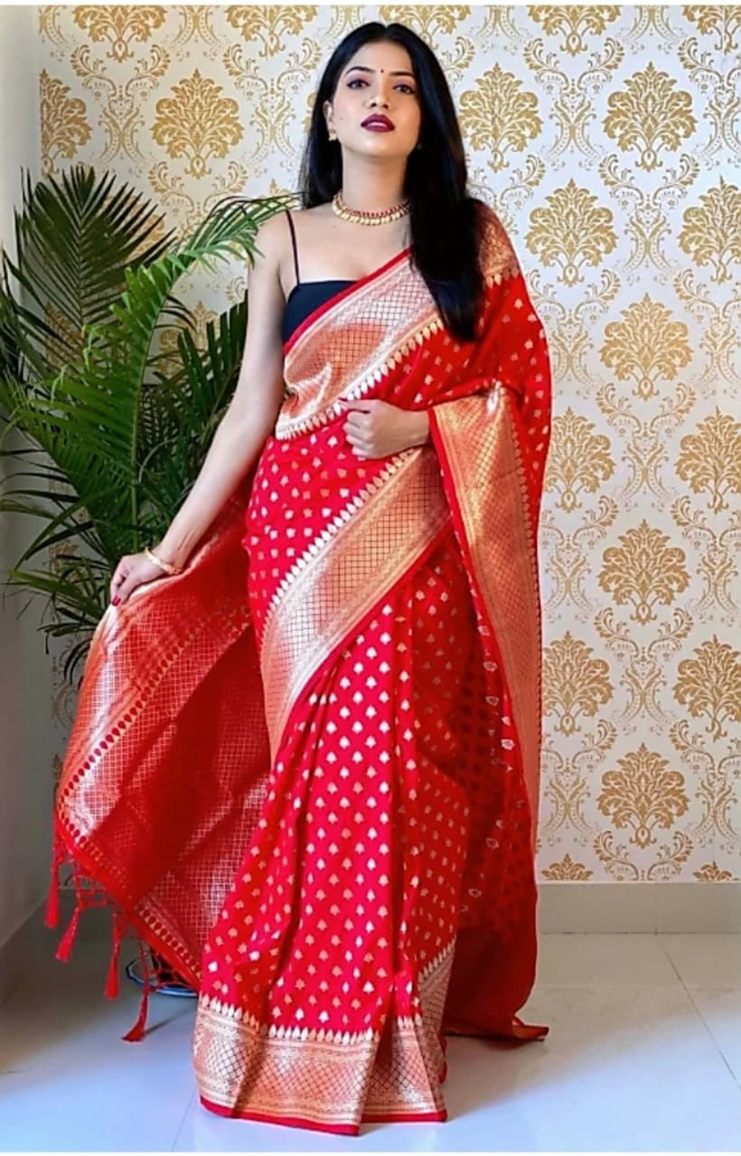 Elegant Party & Festive Wear