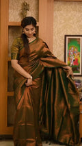 Antique Copper Kanjivaram Saree Elegance