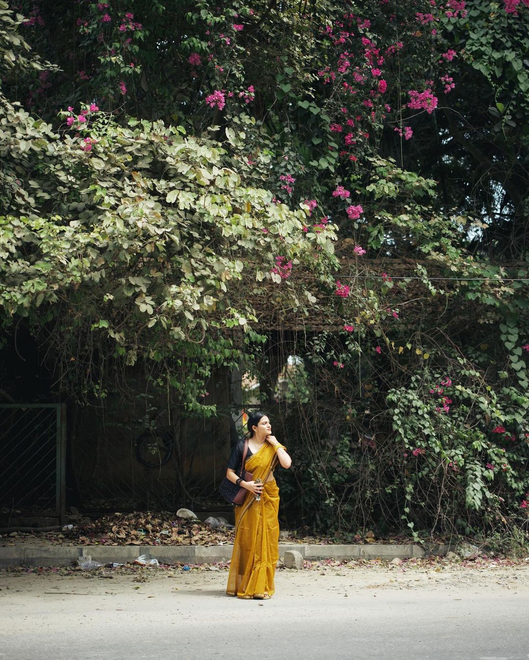 Gold Saree with Black Pallu & Zari Border