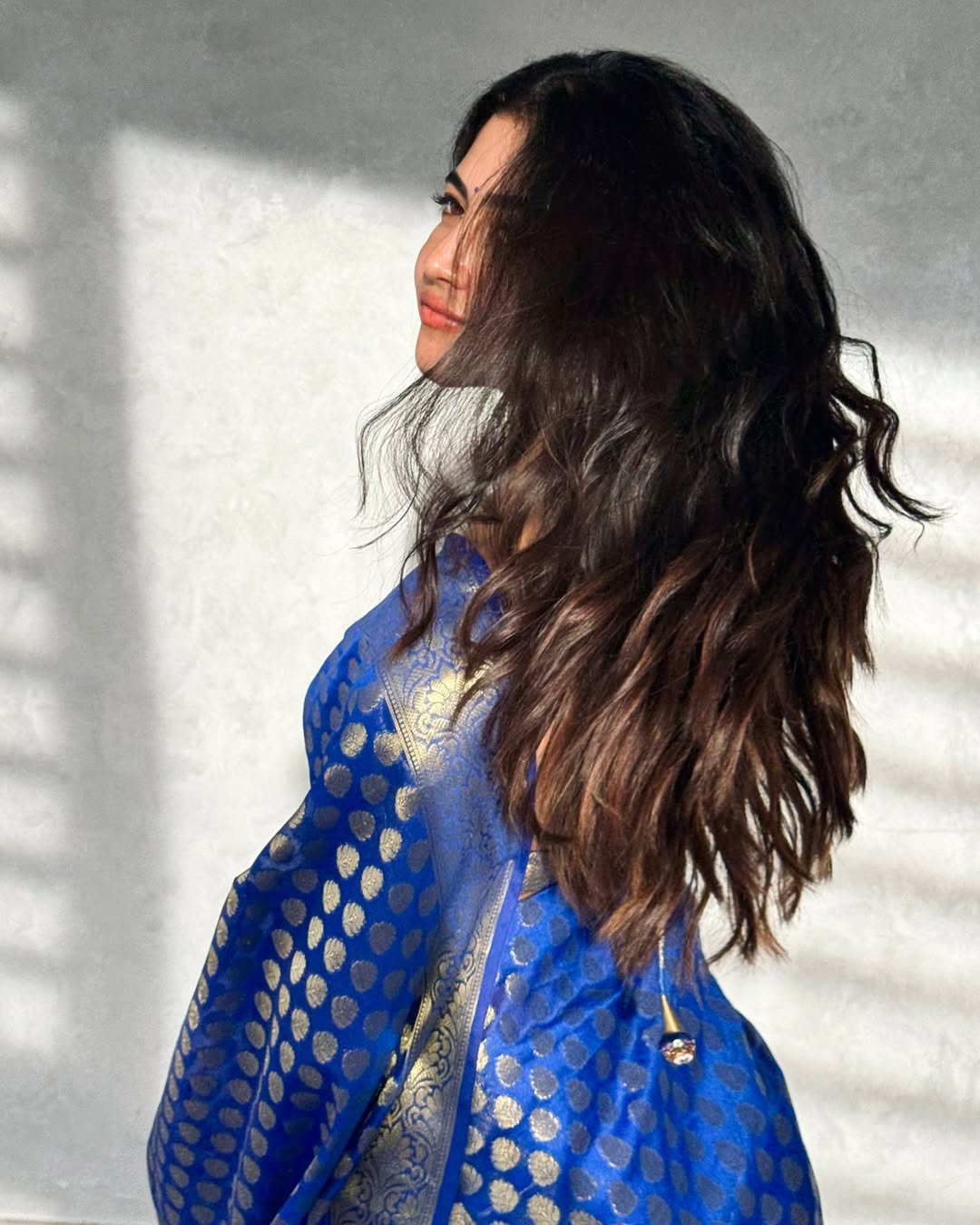 Royal Blue Silk Saree with Silver Zari