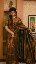 Bronze Brown Silk Saree with Green Border & Zari Work